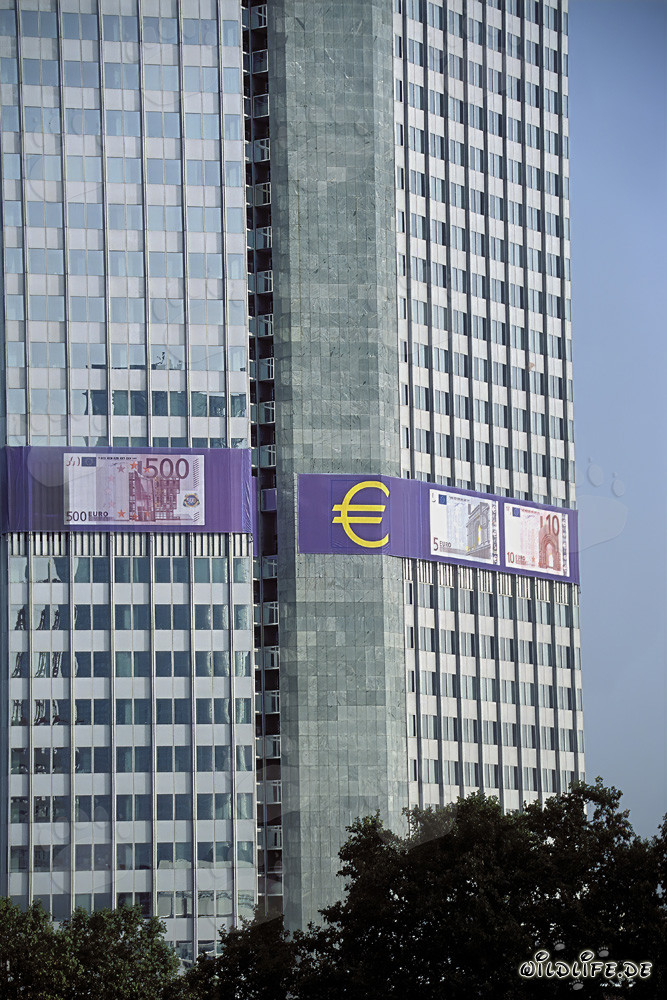 Banque centrale européenne Francfort - Symbole de l'économie européenne et de la stabilité