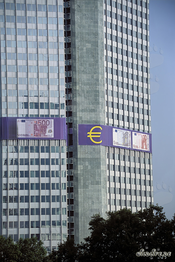 ECB's Eurotower Frankfurt - Icon of European Economy and Stability