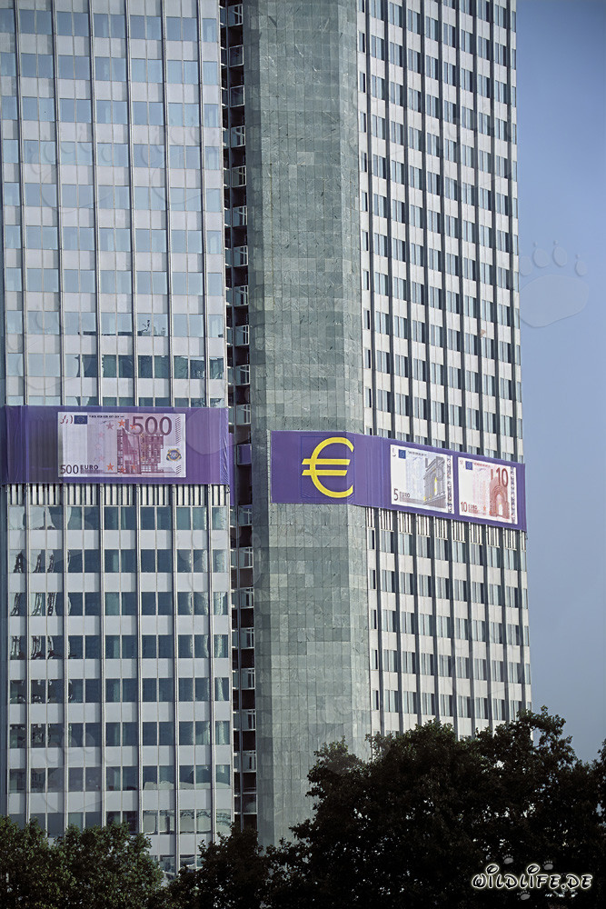Europäische Zentralbank Frankfurt - Symbol für europäische Wirtschaft und Stabilität