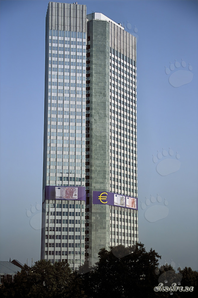Banca Centrale Europea (BCE) - Eurotower a Francoforte sul Meno, Assia, Germania