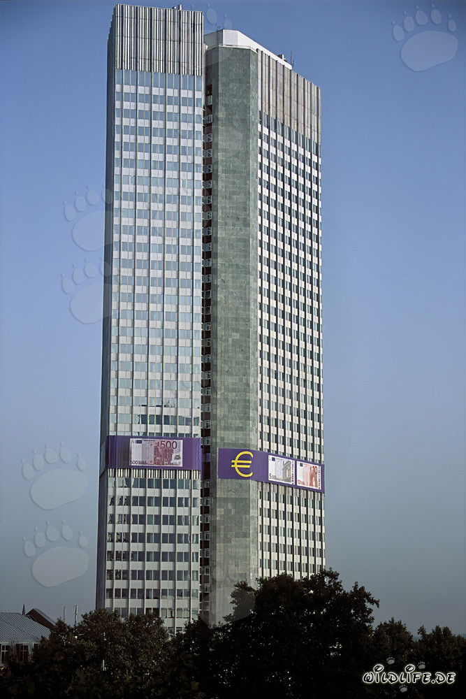 Europäische Zentralbank (EZB) - Eurotower in Frankfurt am Main, Hessen, Deutschland