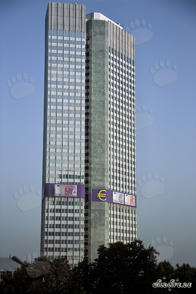 European Central Bank (ECB) - Eurotower in Frankfurt am Main, Hesse, Germany