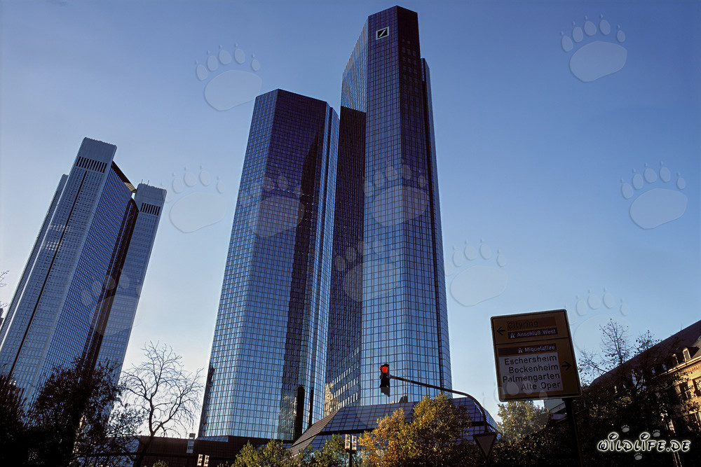 Architecture of the Deutsche Bank Headquarters in Frankfurt