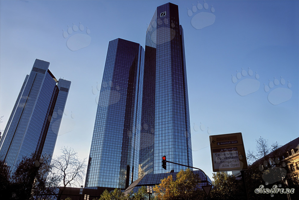Arquitectura de la sede central del Deutsche Bank en Fráncfort del Meno