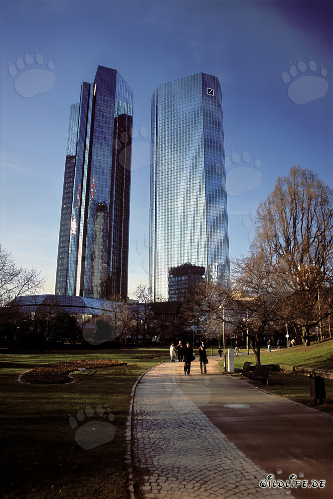 The Deutsche Bank Headquarters in Frankfurt - Symbol of the Financial Capital