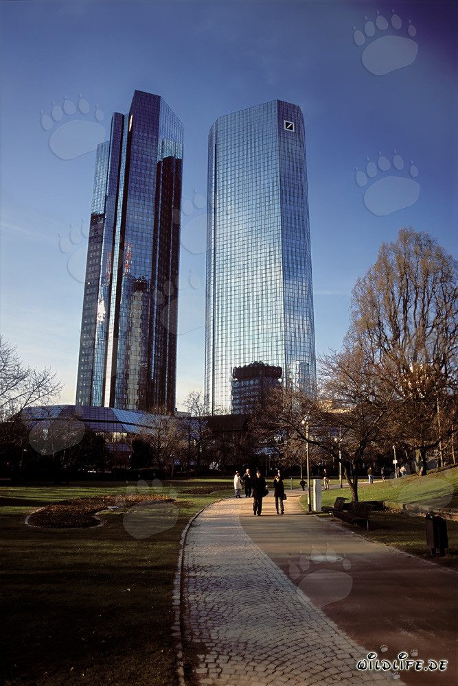 La sede centrale della Deutsche Bank a Francoforte - Simbolo della città bancaria