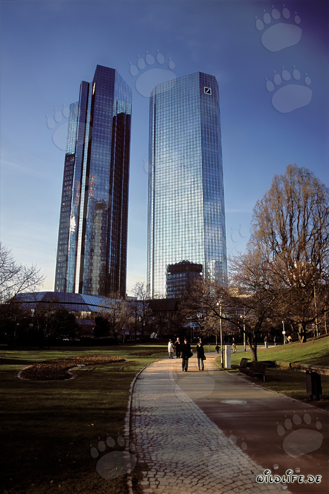 Die Deutsche Bank Zentrale in Frankfurt - Symbol der Bankenstadt