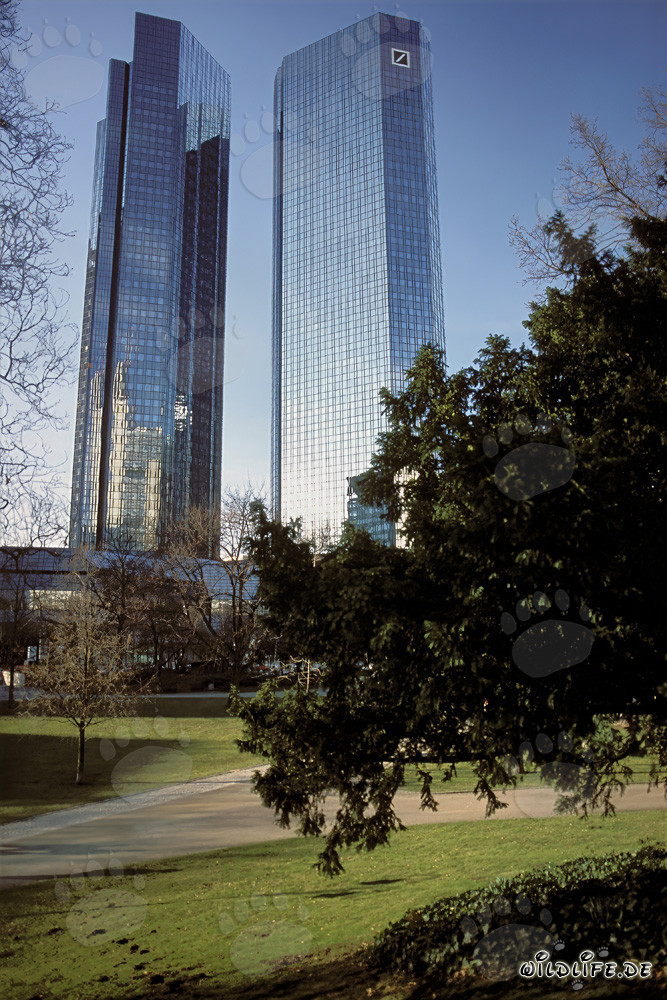 The Twin Towers of Deutsche Bank in Frankfurt