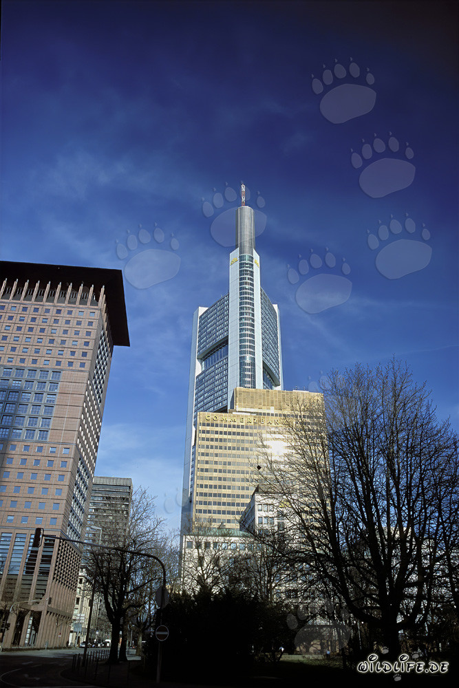 Centre japonais futuriste et bâtiment de la Commerzbank à Francfort-sur-le-Main