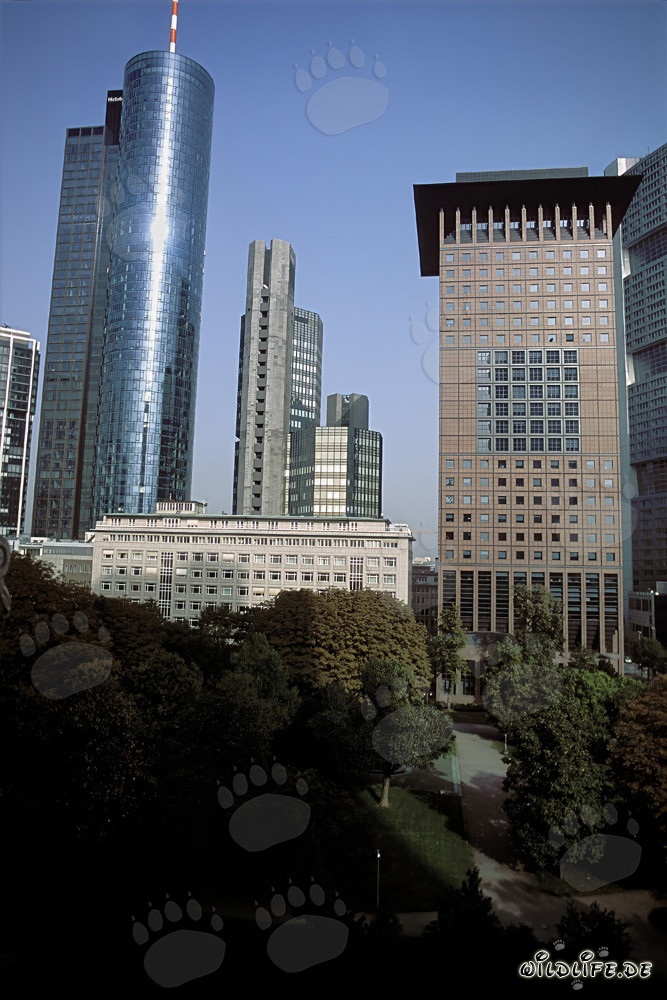 Architecture futuriste : Japan-Center et Maintower à Francfort