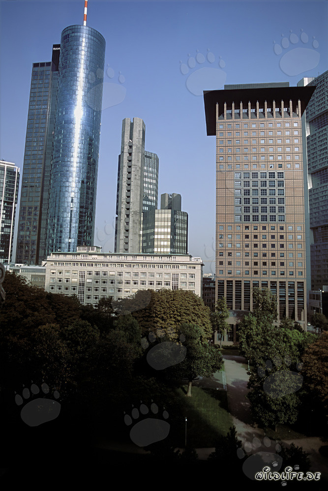 Architettura futuristica: Japan-Center e Maintower a Francoforte