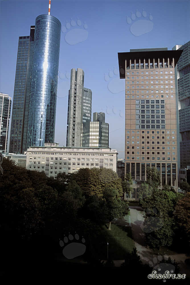 Futuristic Architecture: Japan-Center and Maintower in Frankfurt
