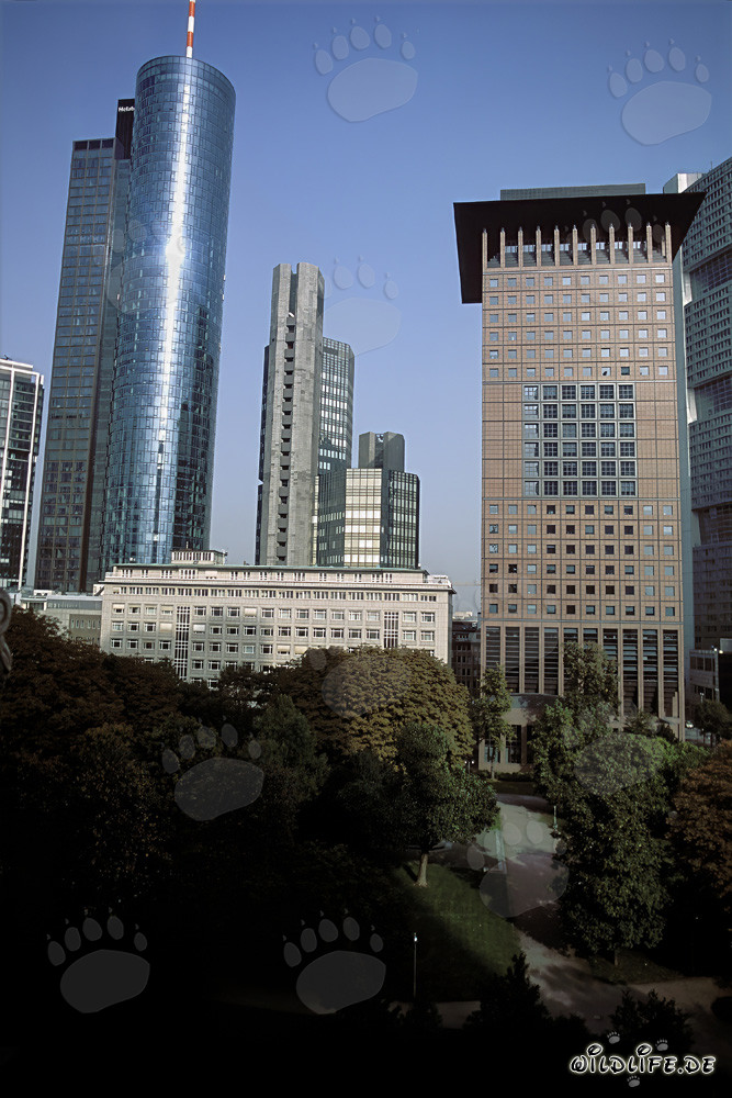 Futuristische Architektur: Japan-Center und Maintower in Frankfurt