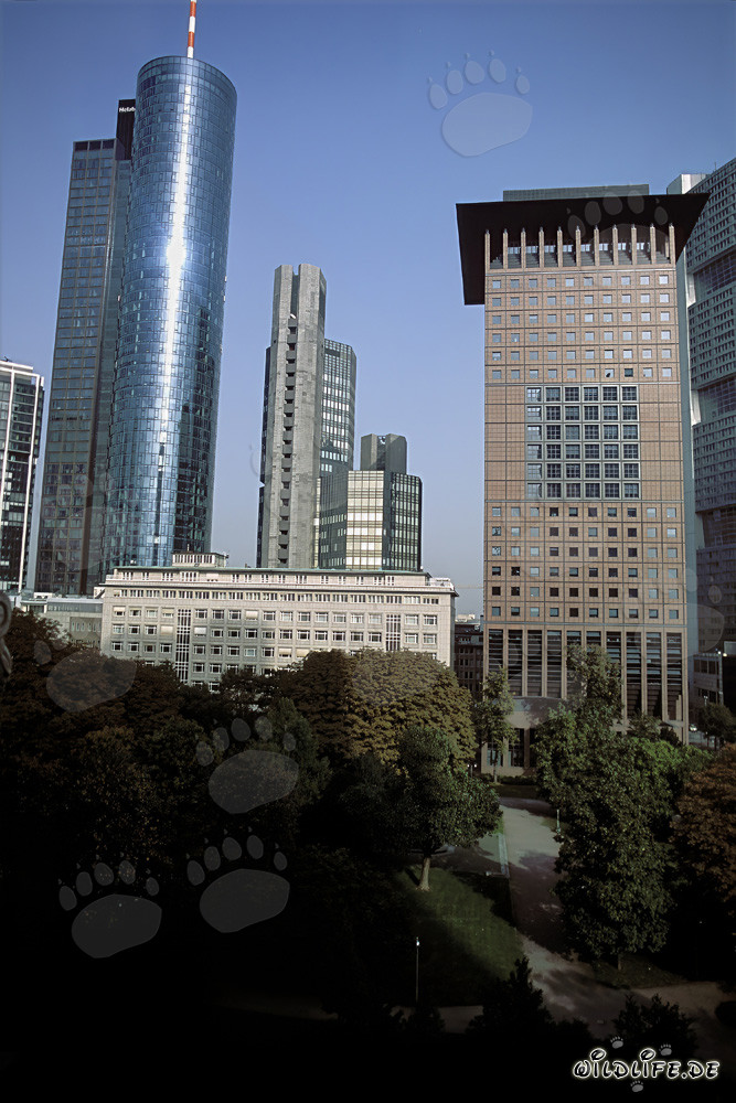 Arquitectura futurista: Japan-Center y Maintower en Frankfurt