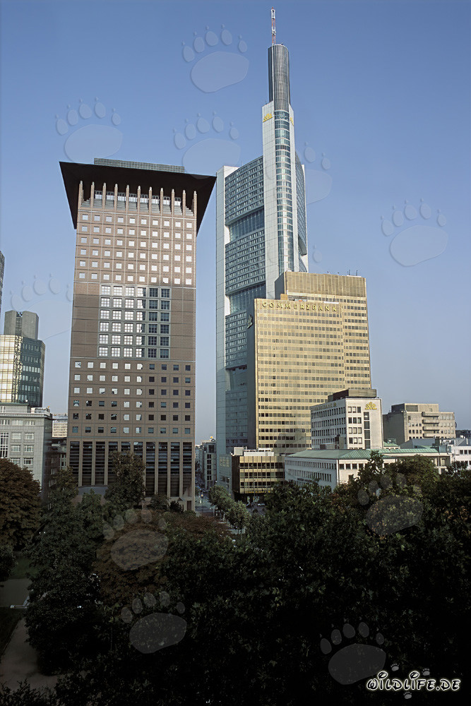 Centre japonais et Commerzbank à Francfort-sur-le-Main - Architecture fascinante de l'Extrême-Orient