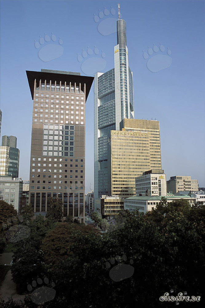 Centro Giapponese e Commerzbank a Francoforte sul Meno - Architettura affascinante dell'Estremo Oriente