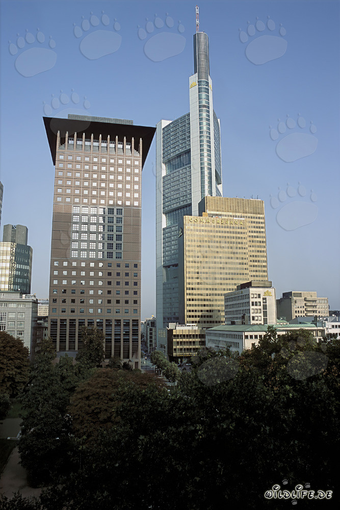 Japan-Center and Commerzbank in Frankfurt am Main - Fascinating architecture from the Far East