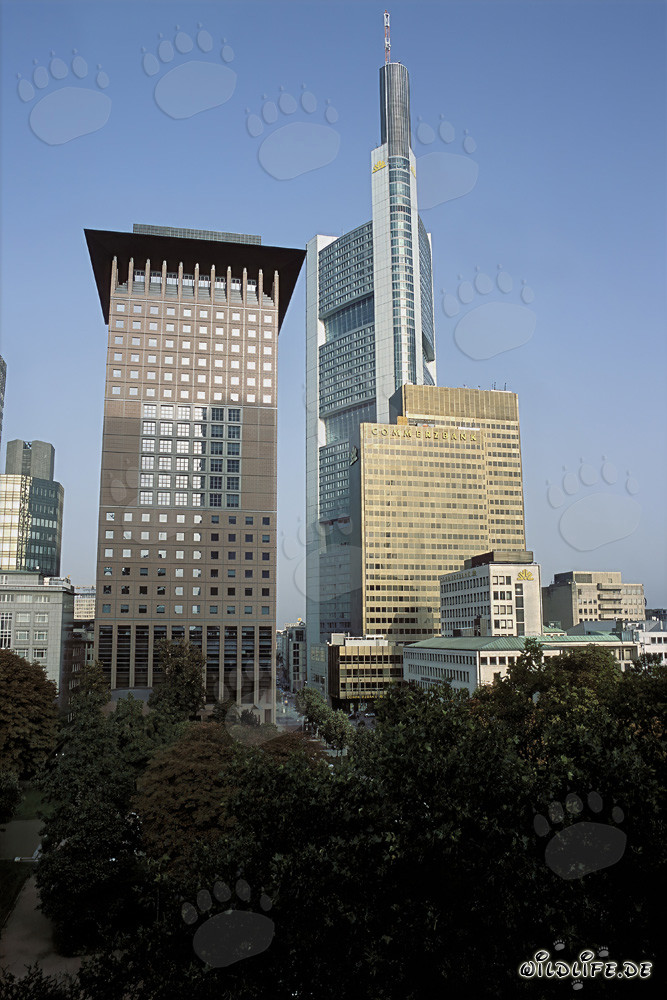 Centro Japonés y Commerzbank en Fráncfort del Meno - Arquitectura fascinante del Lejano Oriente