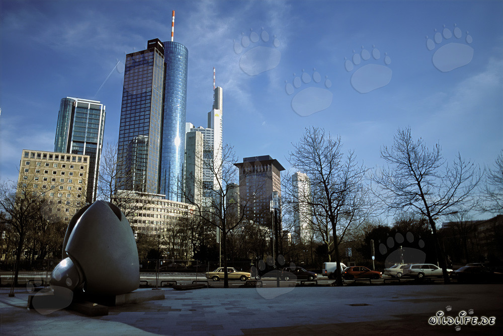 Frankfurter Skyline bei Sonnenuntergang