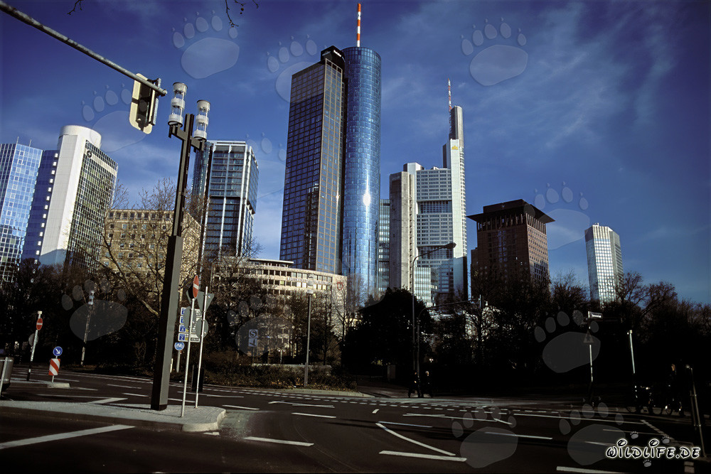 Impressionnante skyline de Francfort-sur-le-Main