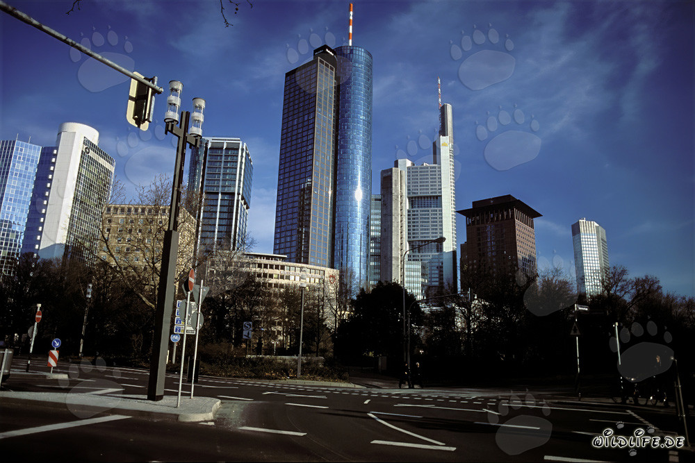 Beeindruckende Skyline von Frankfurt am Main