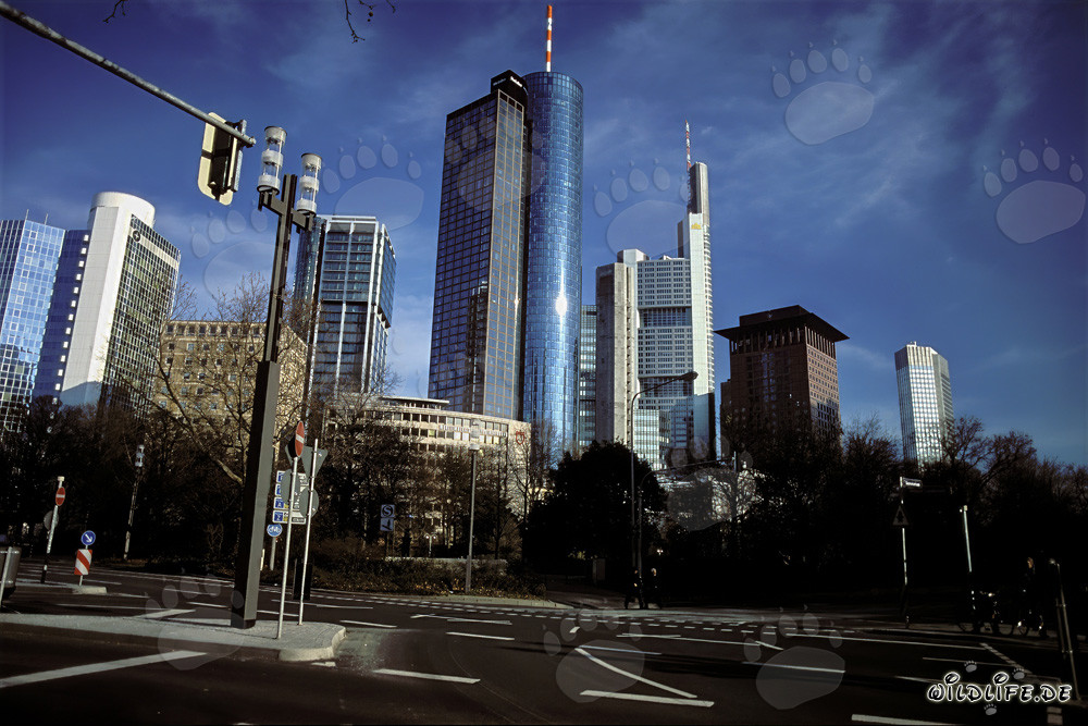 Impresionante skyline de Frankfurt am Main
