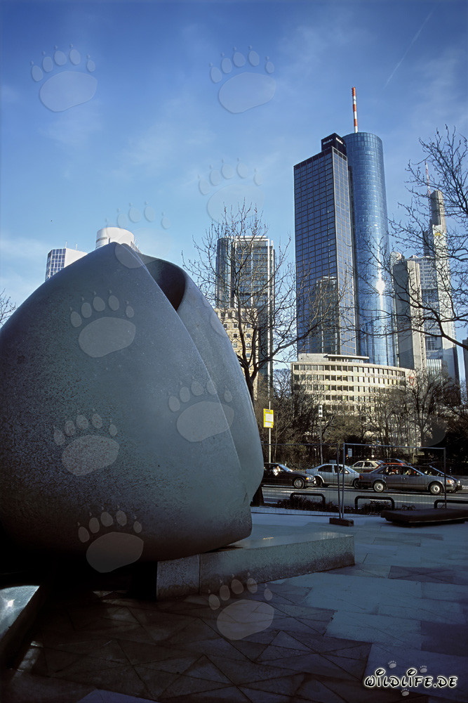 Frankfurt's impressive skyline at sunset