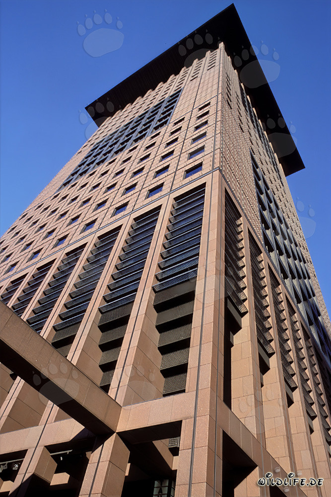 Photographie de l'imposant Japan-Center à Francfort-sur-le-Main