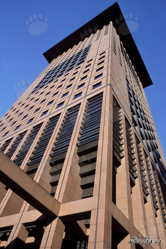 Fotografie des imposanten Japan-Centers in Frankfurt am Main