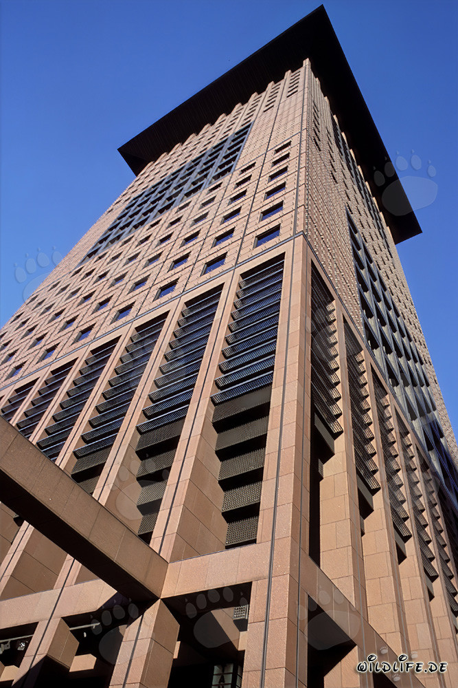 Photograph of the impressive Japan Center in Frankfurt