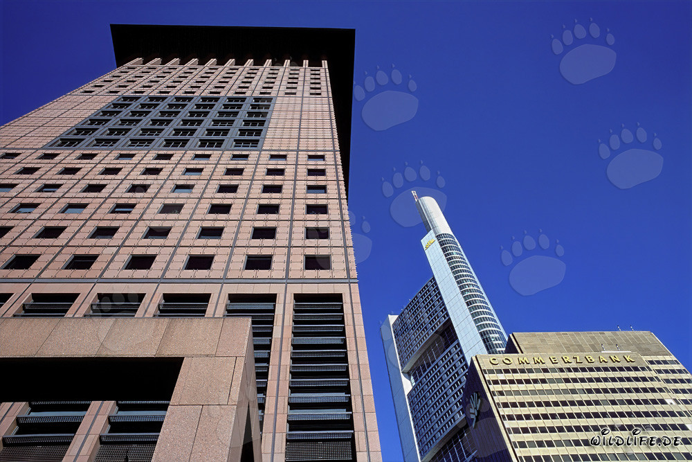 Centre japonais futuriste et imposant bâtiment de la Commerzbank à Francfort