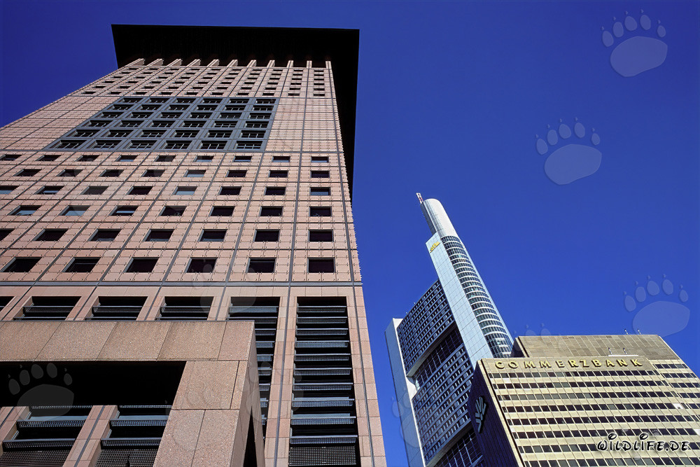 Centro japonés futurista y distintivo edificio de la Commerzbank en Fráncfort
