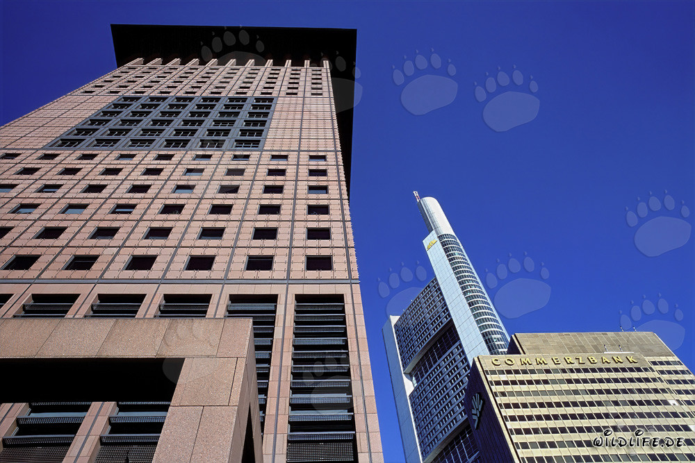 Centro giapponese futuristico e distintivo edificio della Commerzbank a Francoforte