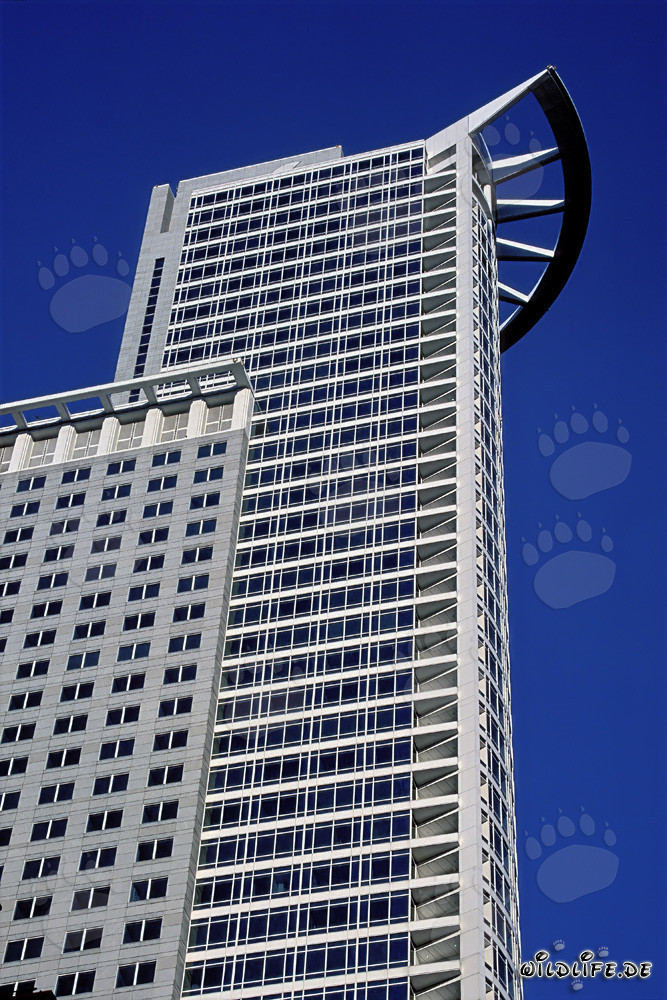Beeindruckendes Hochhaus der DZ-Bank in Frankfurt