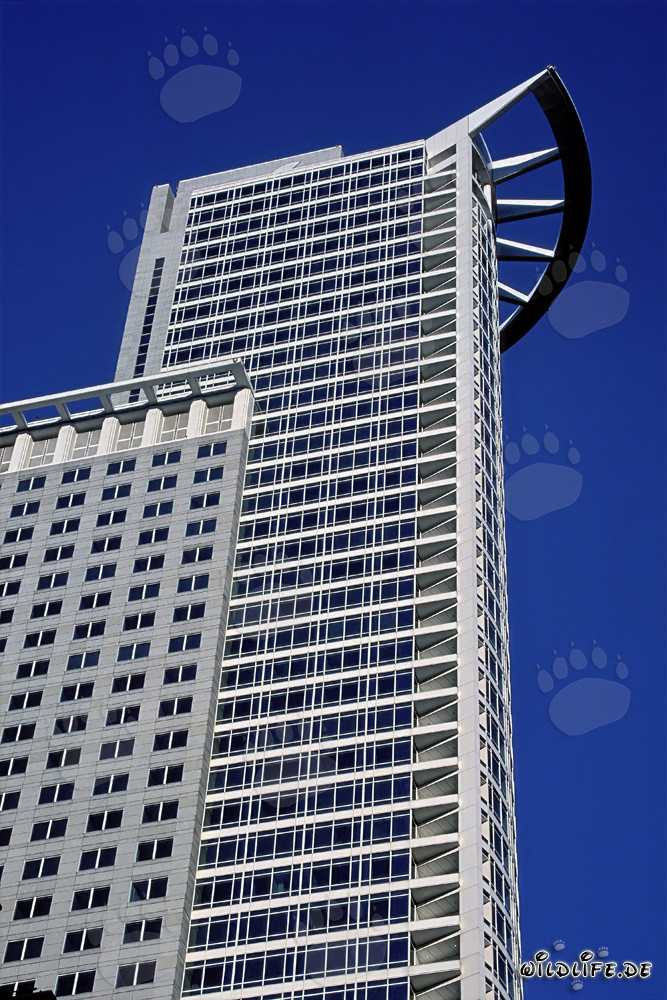 Impressive DZ-Bank Skyscraper in Frankfurt