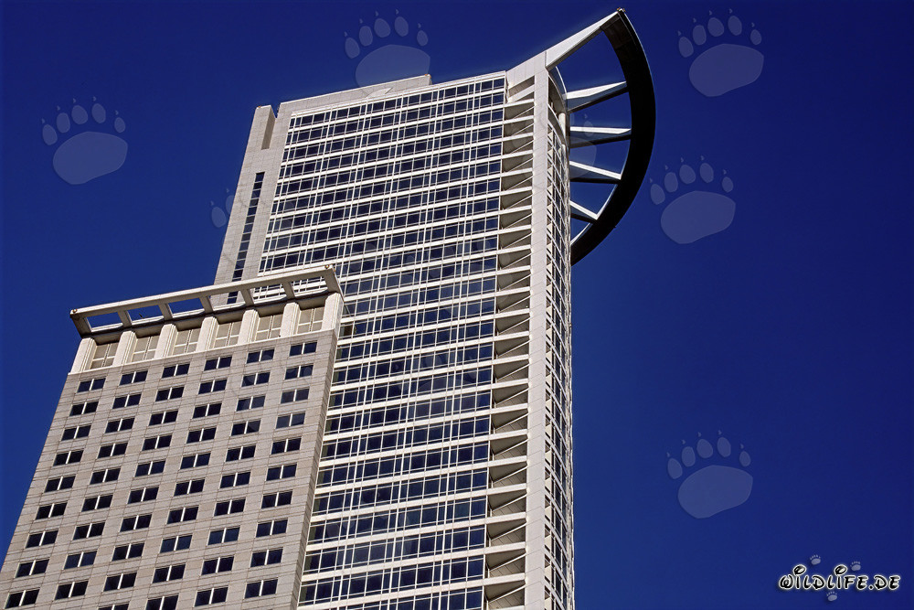 Rascacielos futurista de la DZ-Bank en Frankfurt am Main