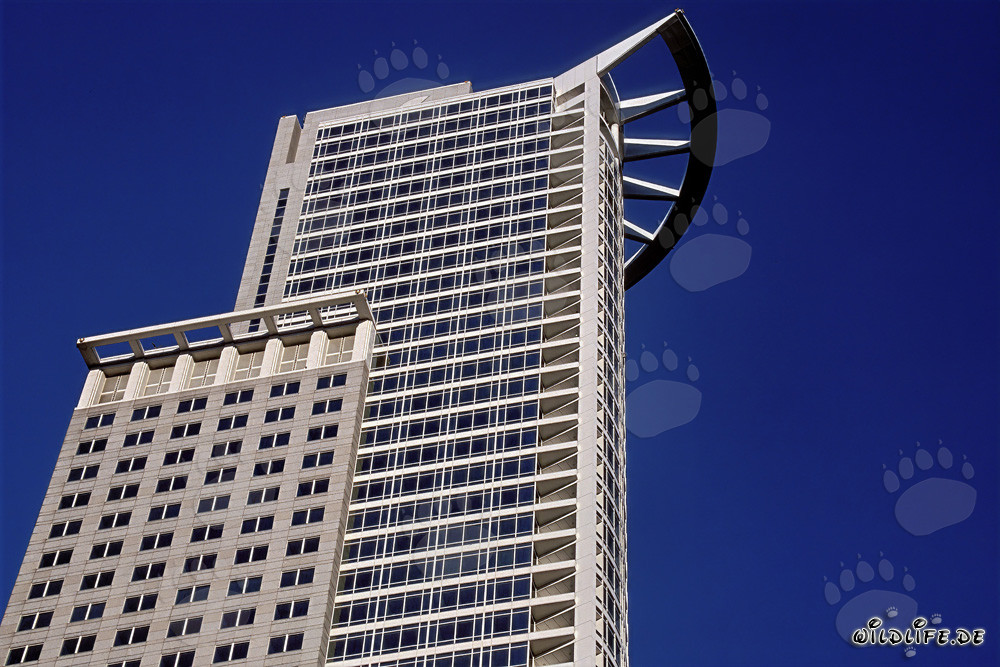 Futuristic Skyscraper of DZ-Bank in Frankfurt am Main