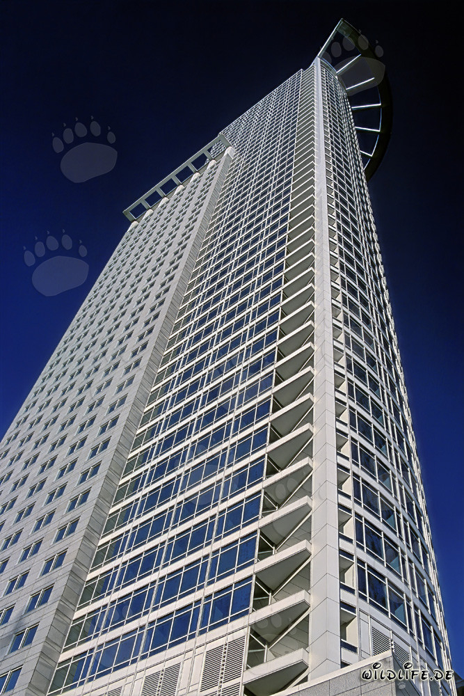 DZ-Bank Skyscraper in Frankfurt - Impressive Architectural Marvel