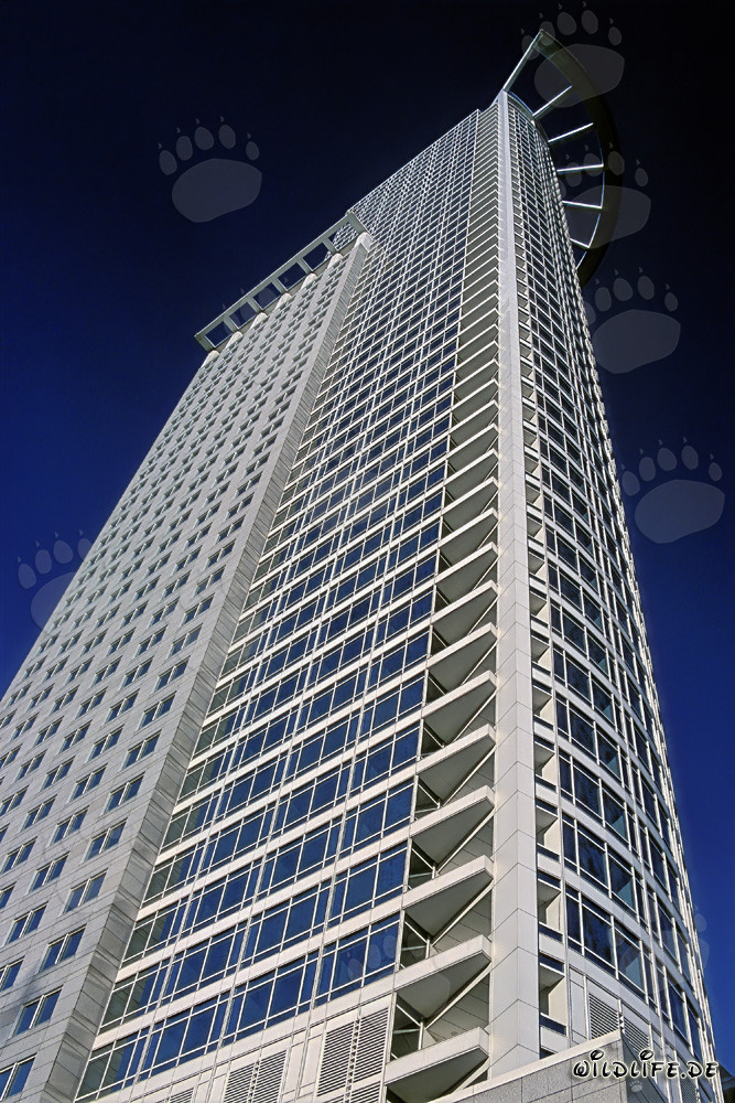 Grattacielo della DZ-Bank a Francoforte - Impressionante meraviglia architettonica
