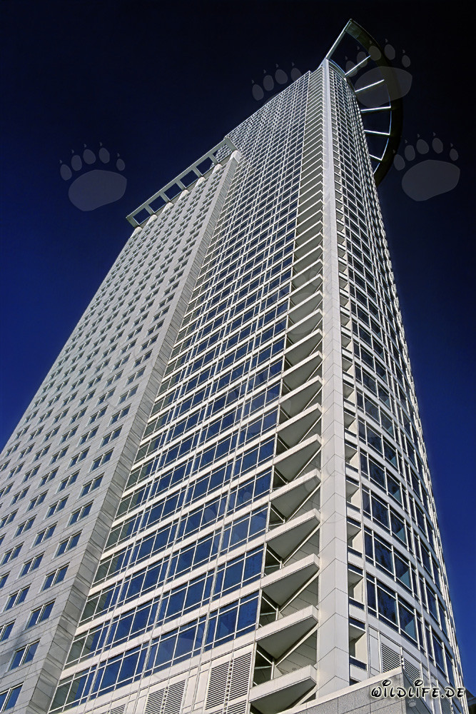 Hochhaus der DZ-Bank in Frankfurt - Imposantes Architekturwunder