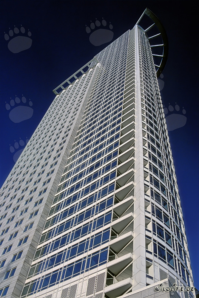 Rascacielos de la DZ-Bank en Frankfurt - Impresionante maravilla arquitectónica