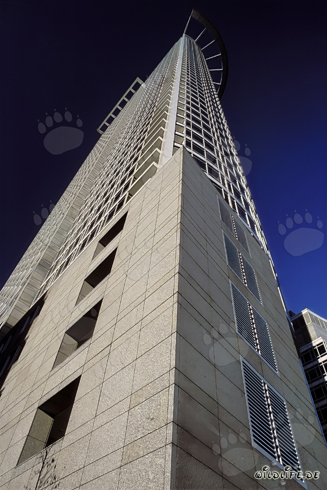 Skyscraper of DZ Bank in Frankfurt