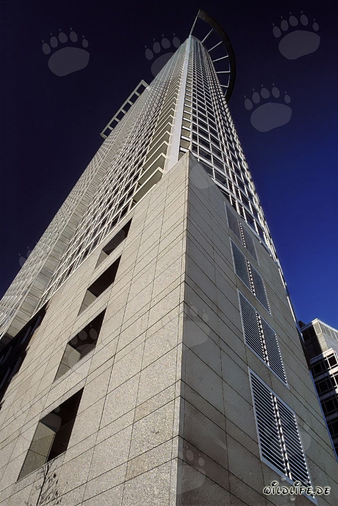 Torre de la DZ-Bank en Frankfurt