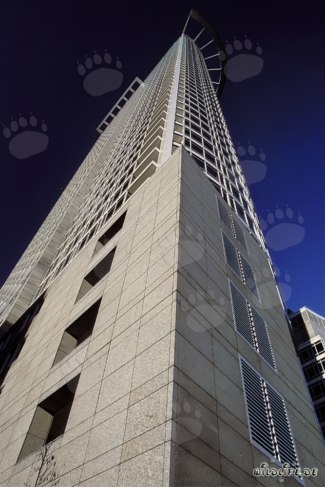 Tour de la DZ-Bank à Francfort