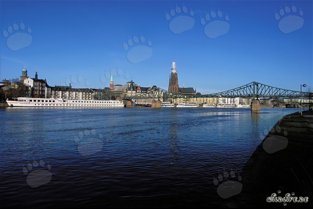 La magnifique skyline de Francfort au coucher du soleil