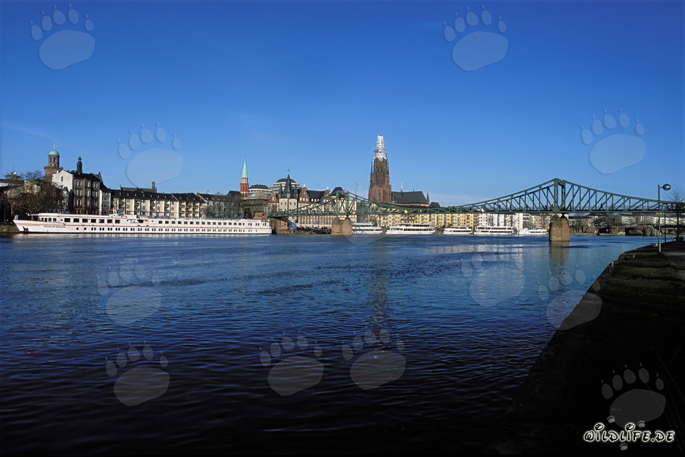 Frankfurt's impressive skyline at sunset