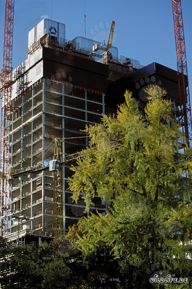 Gallileo Baustelle - Architektur moderner Wolkenkratzer in Frankfurt