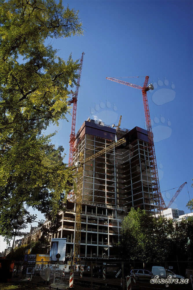 Gallileo Baustelle in Frankfurt: Imposantes Doppelhochhaus