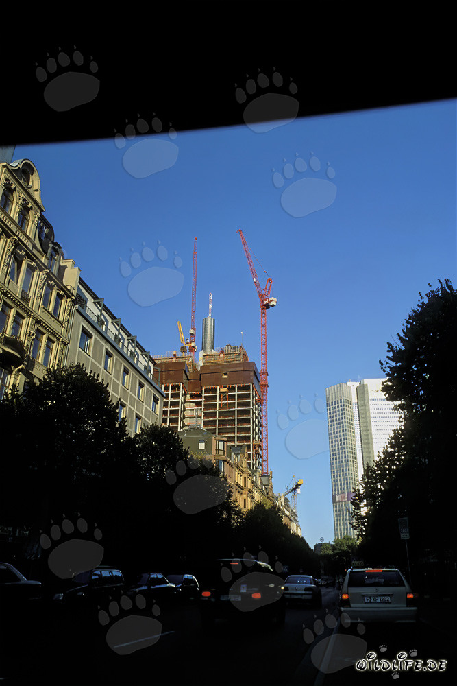Bau des Gallileo Doppelhochhauses in Frankfurt am Main, Deutschland