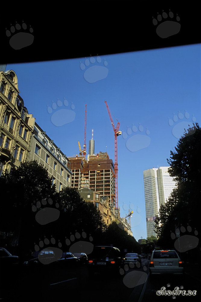 Construction du double gratte-ciel Gallileo à Francfort-sur-le-Main, Allemagne
